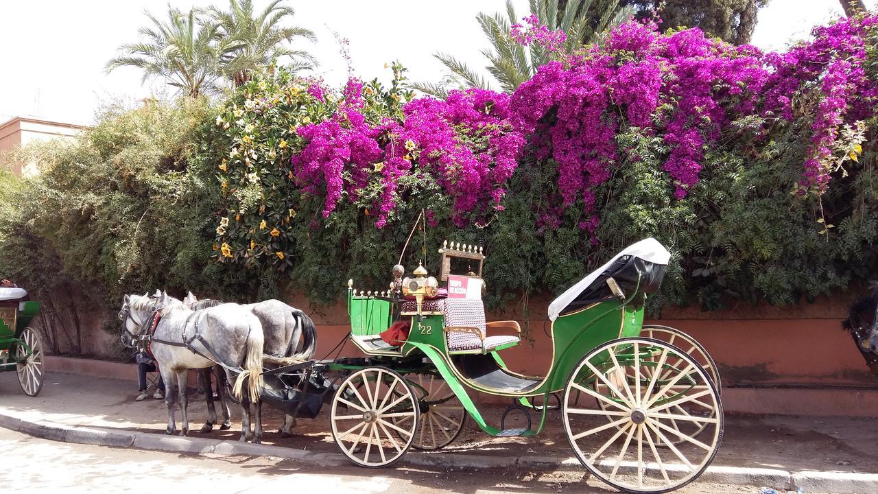 מרקש Mirador De Majorelle, The Apartment Is Only For Families מראה חיצוני תמונה